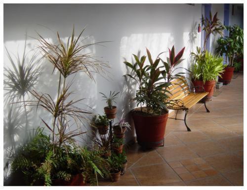 Suitel 522 Eco Hostel Mazatlán Exteriör bild