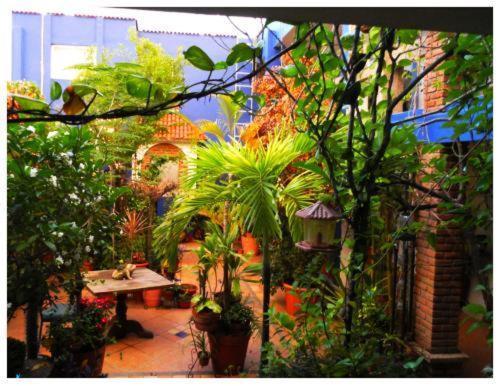 Suitel 522 Eco Hostel Mazatlán Exteriör bild